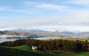 View from the top of Orrest Head in Winter. Looking out over Lake Windermere, towards the Langdale Pikes. 